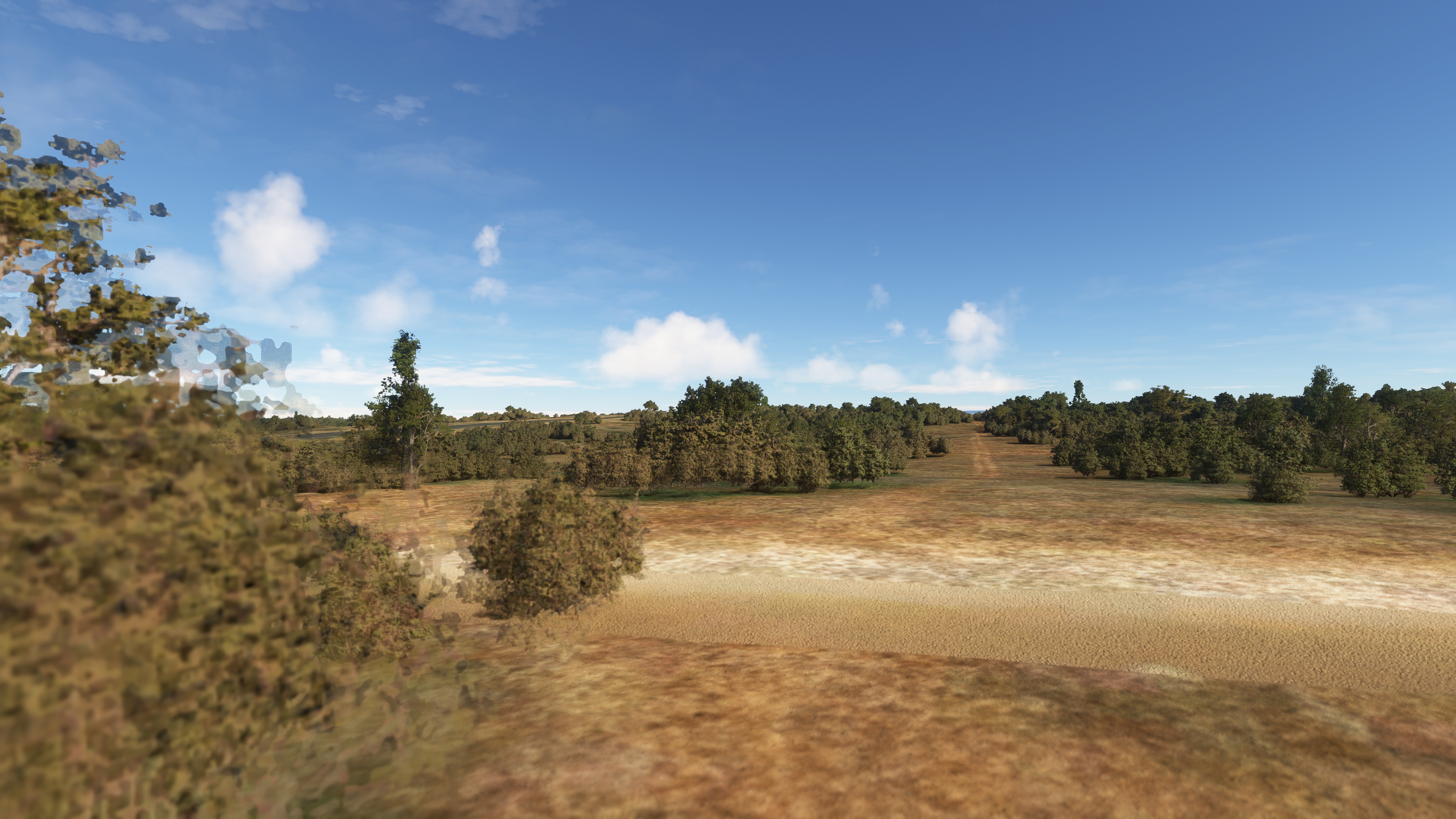 Microsoft Flight Simulator 2024 - Imagen 4
